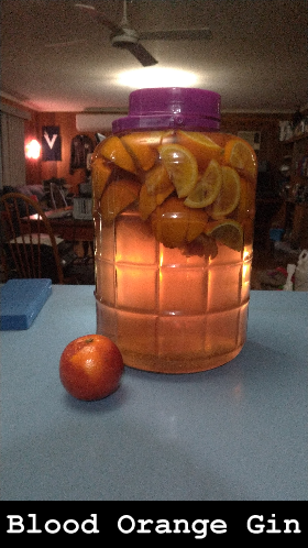 Blood Orange Gin